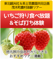 茂木町農村体験ツアー　いちご狩り食べ放題＆そば打ち